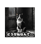 なまけ猫のゆるい日々（個別スタンプ：11）