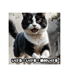 なまけ猫のゆるい日々（個別スタンプ：12）