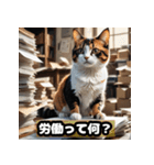 なまけ猫のゆるい日々（個別スタンプ：13）