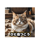 なまけ猫のゆるい日々（個別スタンプ：15）