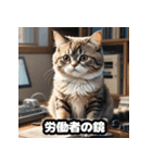 なまけ猫のゆるい日々（個別スタンプ：16）