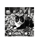 なまけ猫のゆるい日々（個別スタンプ：19）