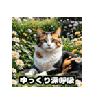 なまけ猫のゆるい日々（個別スタンプ：21）