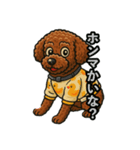 トイプードル ナナとレオ（個別スタンプ：10）