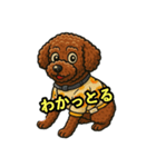 トイプードル ナナとレオ（個別スタンプ：12）