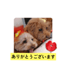 3姫①（個別スタンプ：1）