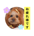 3姫①（個別スタンプ：4）