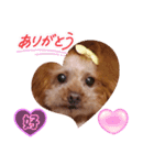 3姫①（個別スタンプ：6）