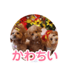 3姫①（個別スタンプ：7）