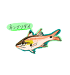 よく釣れる魚たち1（個別スタンプ：6）