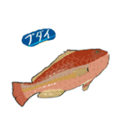 よく釣れる魚たち1（個別スタンプ：7）