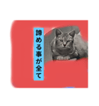 現場天国（個別スタンプ：4）