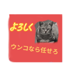 現場天国（個別スタンプ：5）