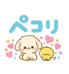 カラフル可愛い♡ふわもこ♡トイプードル（個別スタンプ：12）