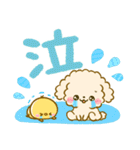 カラフル可愛い♡ふわもこ♡トイプードル（個別スタンプ：31）