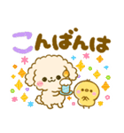 カラフル可愛い♡ふわもこ♡トイプードル（個別スタンプ：37）