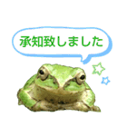 野生のカエル22(丁寧な暮らし)（個別スタンプ：6）