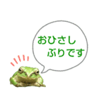 野生のカエル22(丁寧な暮らし)（個別スタンプ：9）