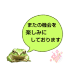 野生のカエル22(丁寧な暮らし)（個別スタンプ：16）