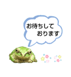 野生のカエル22(丁寧な暮らし)（個別スタンプ：18）