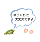 野生のカエル22(丁寧な暮らし)（個別スタンプ：19）