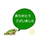 野生のカエル22(丁寧な暮らし)（個別スタンプ：22）