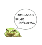 野生のカエル22(丁寧な暮らし)（個別スタンプ：26）