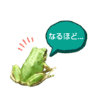 野生のカエル22(丁寧な暮らし)（個別スタンプ：27）