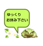 野生のカエル22(丁寧な暮らし)（個別スタンプ：30）