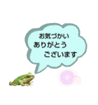 野生のカエル22(丁寧な暮らし)（個別スタンプ：32）