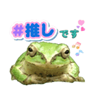 野生のカエル22(丁寧な暮らし)（個別スタンプ：36）