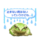 野生のカエル22(丁寧な暮らし)（個別スタンプ：39）
