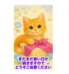 お中元ねこ---夏のご挨拶・夏のギフト---（個別スタンプ：7）