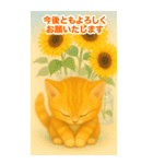 お中元ねこ---夏のご挨拶・夏のギフト---（個別スタンプ：15）