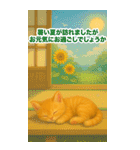 お中元ねこ---夏のご挨拶・夏のギフト---（個別スタンプ：24）