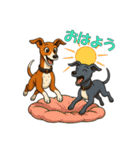 ウィペット「きな子」とイタグレ「チョコ」（個別スタンプ：2）