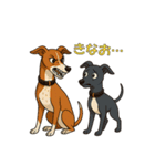 ウィペット「きな子」とイタグレ「チョコ」（個別スタンプ：24）