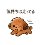 ちょっとシュールなゆるかわトイプードル（個別スタンプ：11）