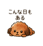 ちょっとシュールなゆるかわトイプードル（個別スタンプ：14）