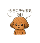 ちょっとシュールなゆるかわトイプードル（個別スタンプ：17）