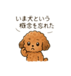 ちょっとシュールなゆるかわトイプードル（個別スタンプ：18）