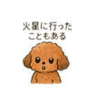 ちょっとシュールなゆるかわトイプードル（個別スタンプ：22）