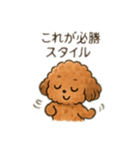 ちょっとシュールなゆるかわトイプードル（個別スタンプ：23）