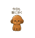 ちょっとシュールなゆるかわトイプードル（個別スタンプ：25）