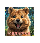 クォッカのかわいい表情集3（個別スタンプ：1）