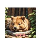 クォッカのかわいい表情集3（個別スタンプ：12）