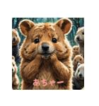 クォッカのかわいい表情集3（個別スタンプ：36）