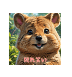 クォッカのかわいい表情集3（個別スタンプ：37）