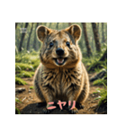 クォッカのかわいい表情集2（個別スタンプ：1）