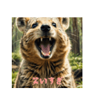 クォッカのかわいい表情集2（個別スタンプ：4）